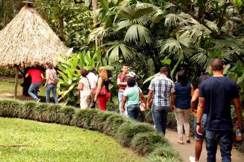 Visite du musée de la canne à sucre et de l'Hacienda ParaísoExcursion d'une journée au musée de la canne à sucre et à l'Hacienda Paraíso