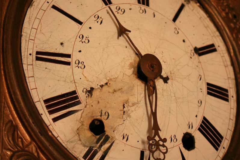 Sugar Cane Museum and Hacienda Paraíso Day Tour GetYourGuide