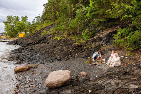 Oslo: Malmøya Guided Hike with Waffle & Salmon Experience