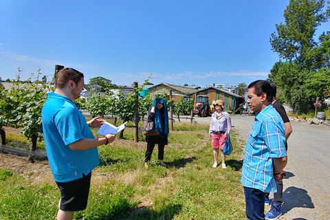 Visite privée du Fort Langley et des vignobles