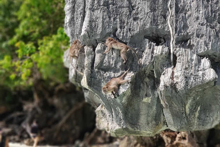 Krabi: Wycieczka łodzią motorową na wyspy Phi Phi i do zatoki Maya z lunchemWycieczka prywatna