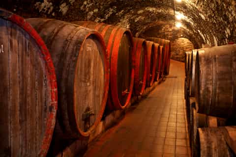 Azuga Winery Day Trip from Brasov