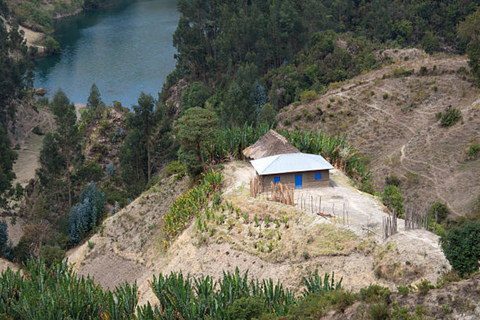 Addis Ababa: Wenchi Crater Lake & Hot Springs Day Trip