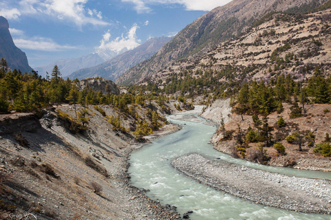 Desde Katmandú: Ruta de 3 días por Kalinchowk