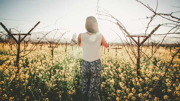 melbourne yarra valley rainforest hike and winery tour