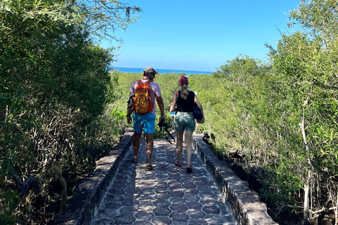 Galápagos: Sightseeing Tour to Tortuga Bay with Crystal-Clear Waters and Kayak