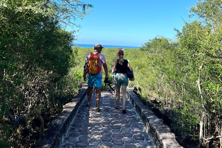 Galápagos: Sightseeing Tour to Tortuga Bay with Crystal-Clear Waters and Kayak