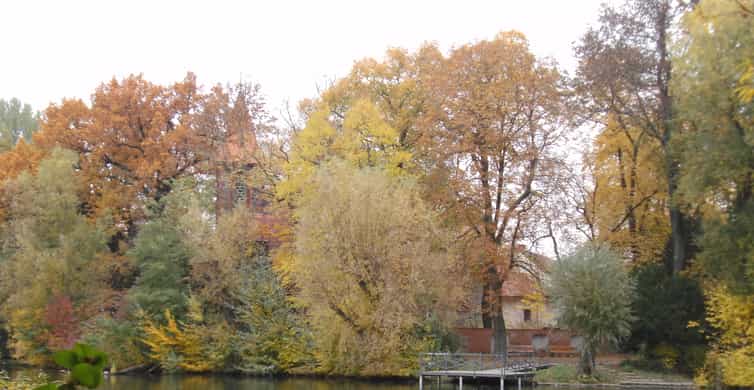 43+ Britz Gärten, 20 jahre tulipan im britzer garten i berlins