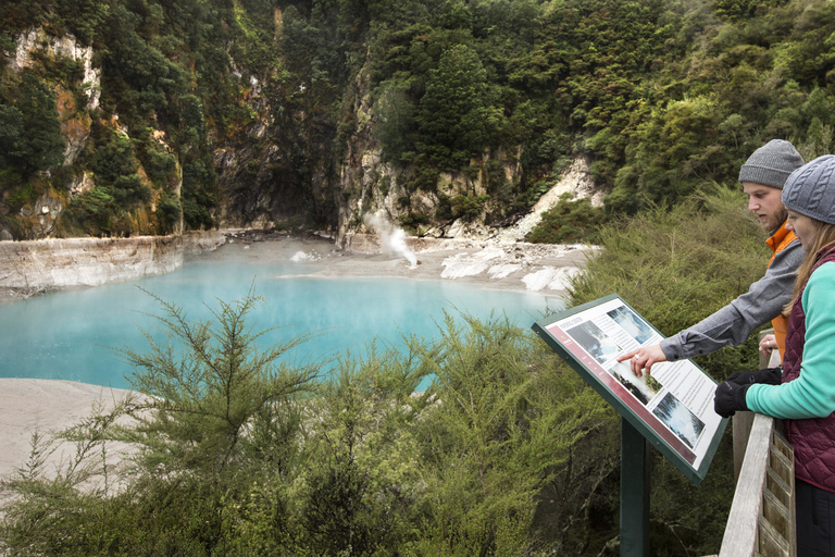 Rotorua : billet d'entrée pour la vallée volcanique de Waimangu