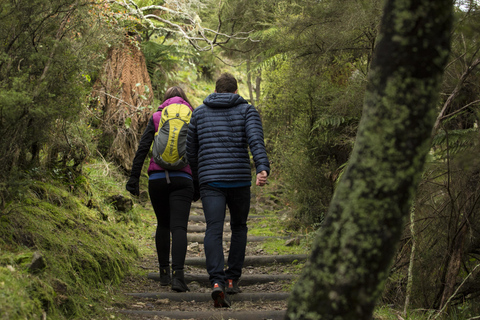 Rotorua: Bilet wstępu do Doliny Wulkanicznej Waimangu