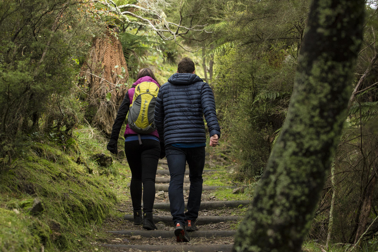 Rotorua: Bilet wstępu do Doliny Wulkanicznej Waimangu