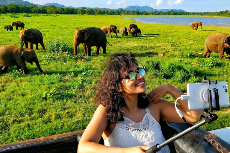 Från Colombo: Privat dagssafari i Minneriya nationalpark