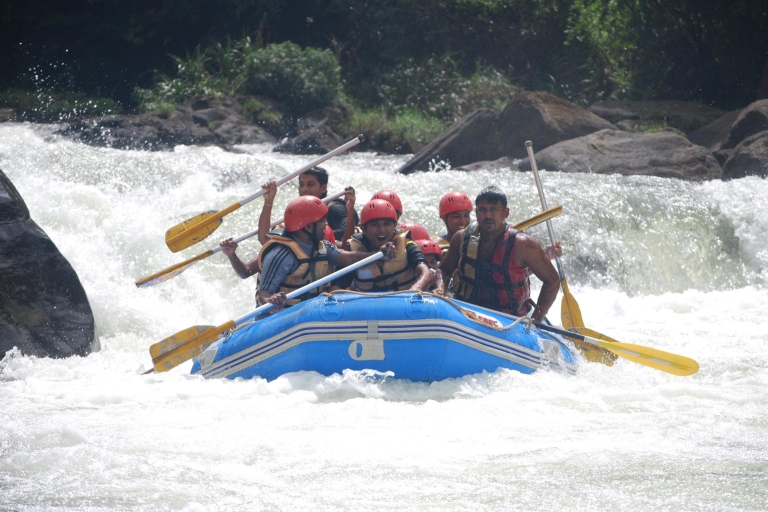 Negombo: Abenteuer Rafting in Kitulgala mit Mittagessen