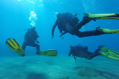 Puerto del Carmen : Essayez la plongée sous-marine avec 1 plongéePuerto del Carmen : plongée sous-marine d'initiation