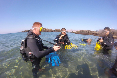 Puerto del Carmen : Essayez la plongée sous-marine avec 1 plongéePuerto del Carmen : plongée sous-marine d'initiation