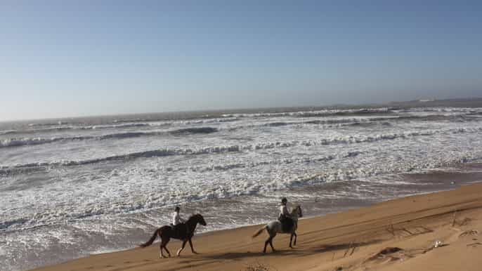 essaouira 3hour horseback ride