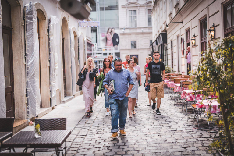 Viena: caminhada educacional explorando a falta de moradiaTour auf Deutsch ab Bäckerstraße