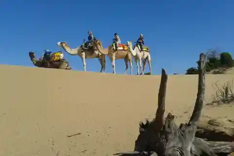 3-stündiger Dromedar-Ritt Essaouira, Marokko