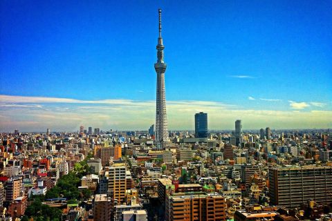 Tour panoramico di Tokyo di 1 giorno in carrozza privata