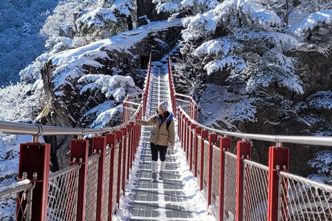 Jeonju Hanok Village and Daedunsan Serenity Nature Tour Departing from Dongdaemun H&C Park Station Exit 10