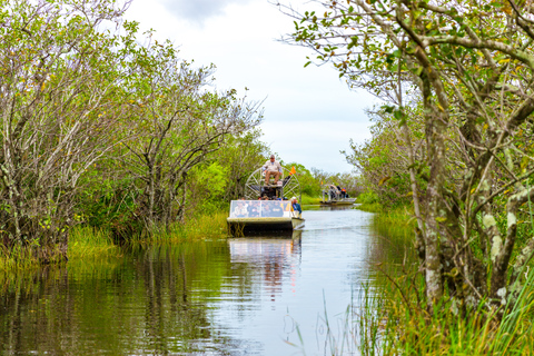 De Miami: Show de vida selvagem em Everglades, aerobarco e traslado de ônibusExcursão de meio dia a Everglades