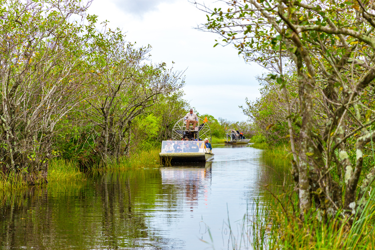 Från Miami: Everglades Wildlife Show, Airboat &amp; BusstransferHalvdagstur till Everglades