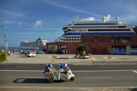 Funchal: tour della città in TukxiTour in inglese, portoghese o spagnolo