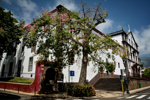 Funchal : visite de 75 min en Tukxi