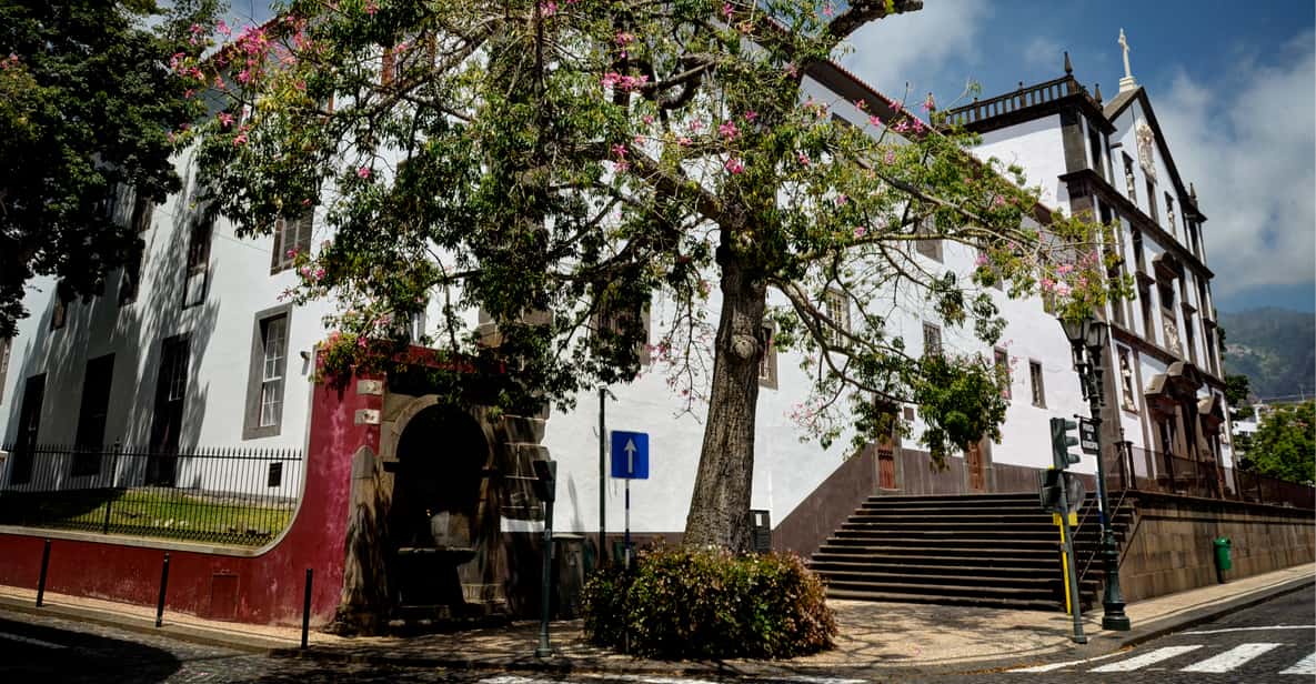 Funchal: 75–Minute City Tour in a Tukxi
