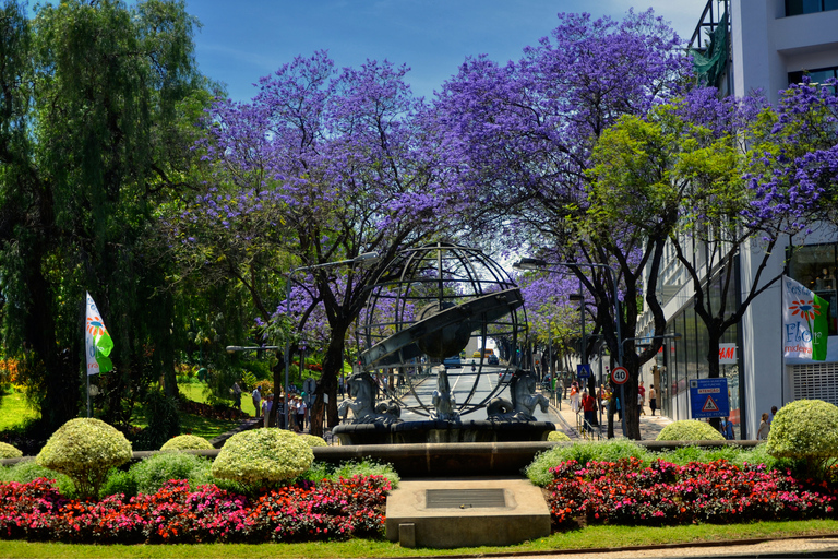 Funchal: tour della città in TukxiTour in inglese, portoghese o spagnolo