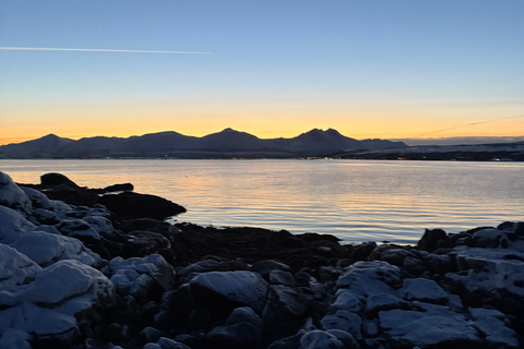 Tromsø: Snowshoe Tour in Coastal Nature Near the City