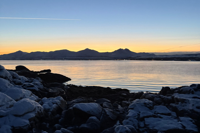 Tromsø: Snowshoe Tour in Coastal Nature Near the City