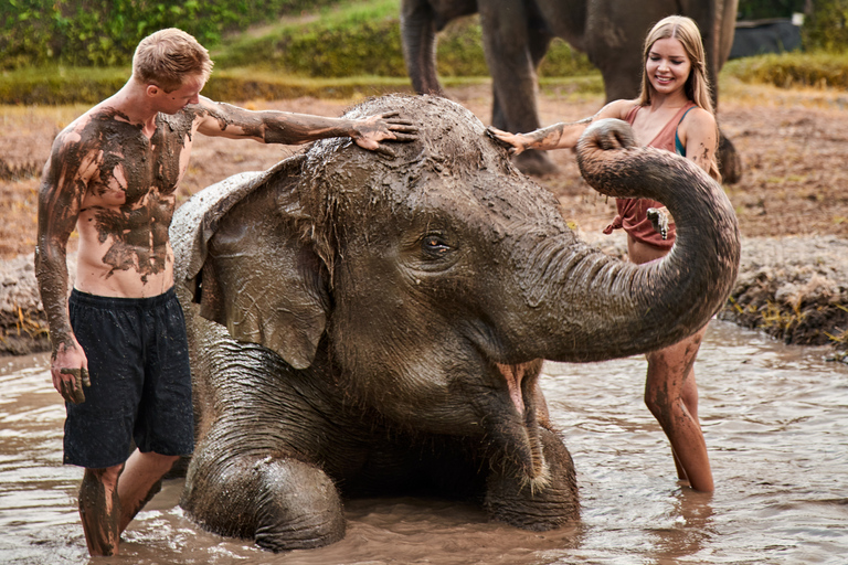 Bali: esperienza con gli elefanti e bagno nel fango allo zooIncontro allo zoo di Bali, attività con gli elefanti