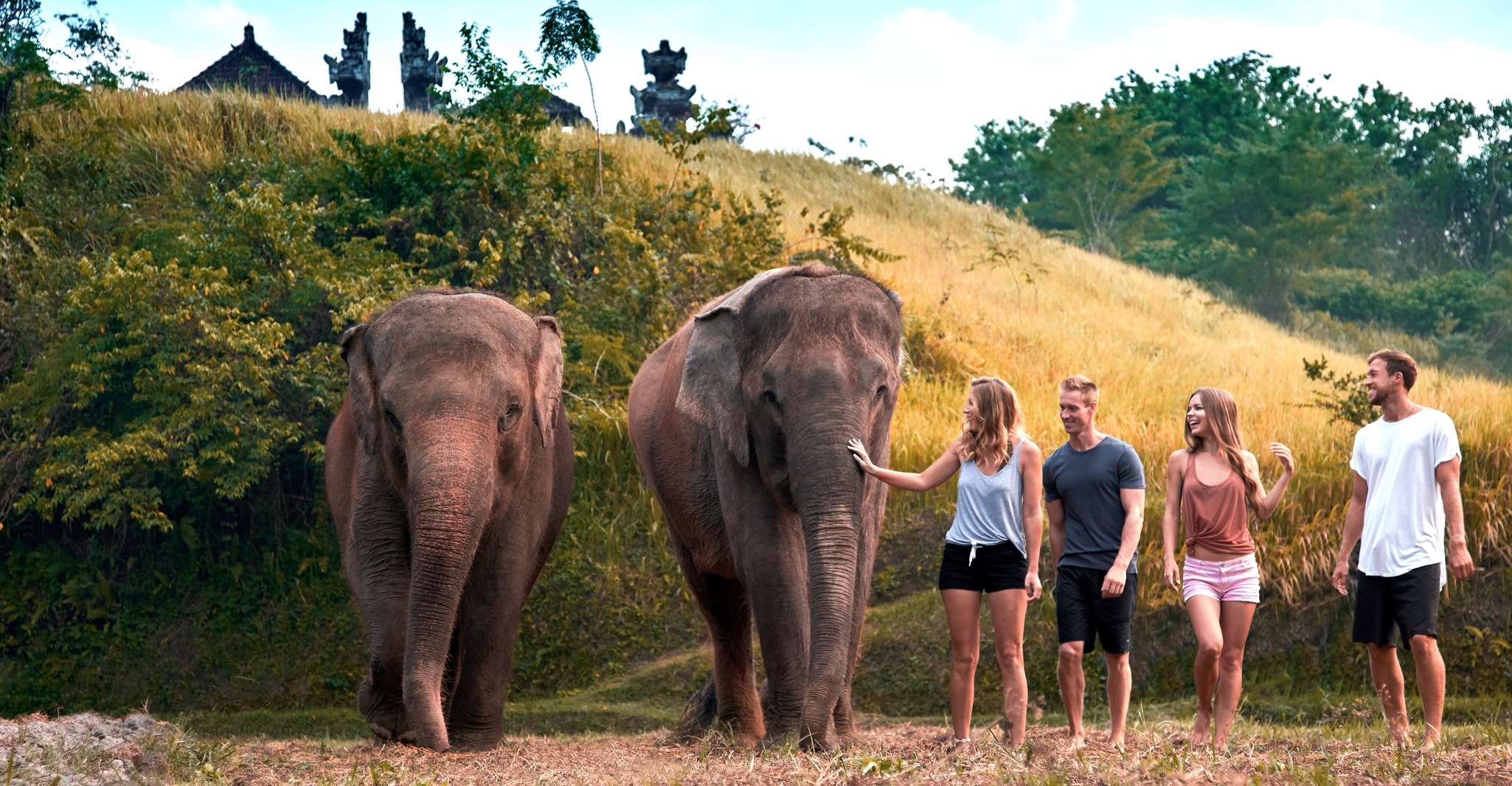 Elephant Care Experience with Mud Bath at Bali Zoo - Housity