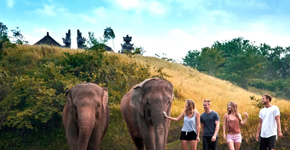 Bali Zoo: Guided Ethical Elephant Care Experience