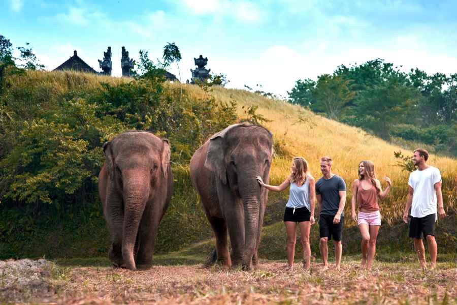 Elefantenpflege-Erlebnis mit Schlammbad im Zoo von Bali. Foto: GetYourGuide