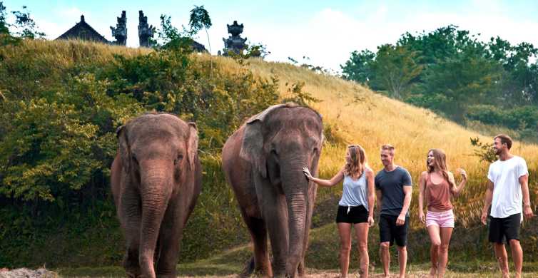 Elephant Care Experience with Mud Bath at Bali Zoo GetYourGuide