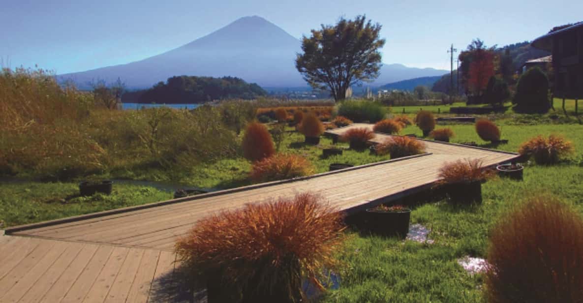 Mt Fuji and Lake Kawaguchi Scenic 1-Day Bus Tour