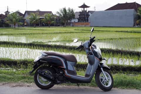 Bali: Scooter or Motorbike Rental with Delivery