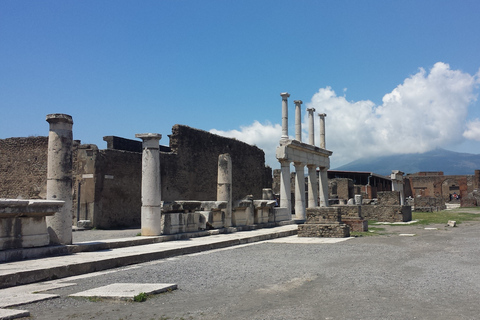 Napels: Privétour Pompeii en Sorrento met gids