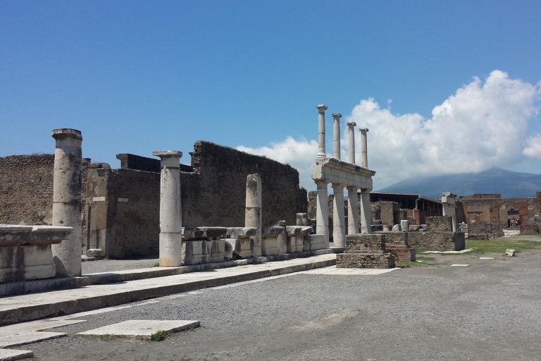 Napels: Privétour Pompeii en Sorrento met gids