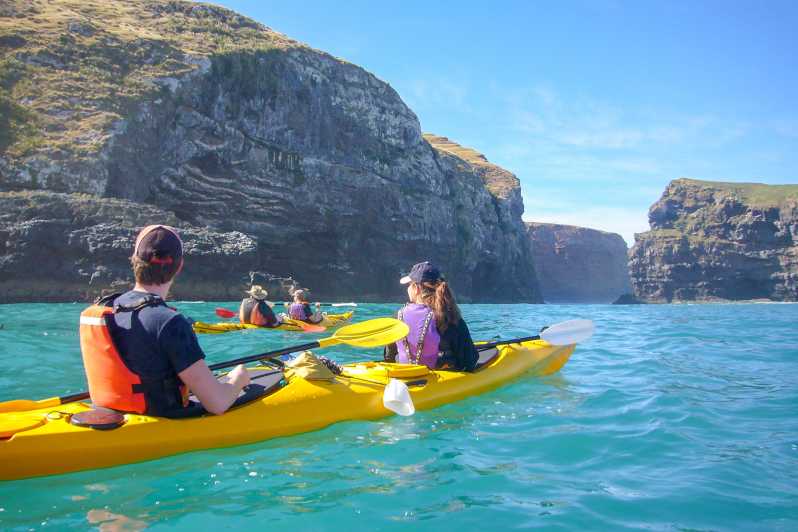 Akaroa : Safari en 4x4 et expérience guidée de kayak de mer