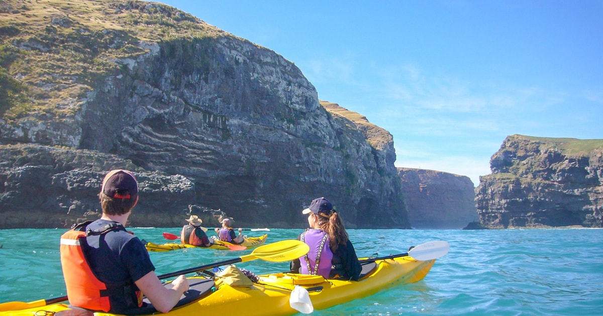 Akaroa 4WD Safari and Guided SeaKayaking Experience GetYourGuide