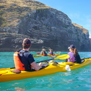 Akaroa: 4WD Safari and Guided Sea-Kayaking Experience