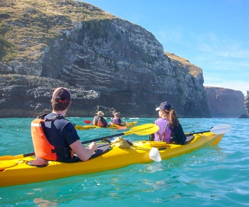 Akaroa: Safari com tração às quatro rodas e experiência guiada de caiaque no mar