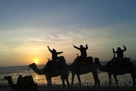 Essaouira: One Hour Dromedary Ride