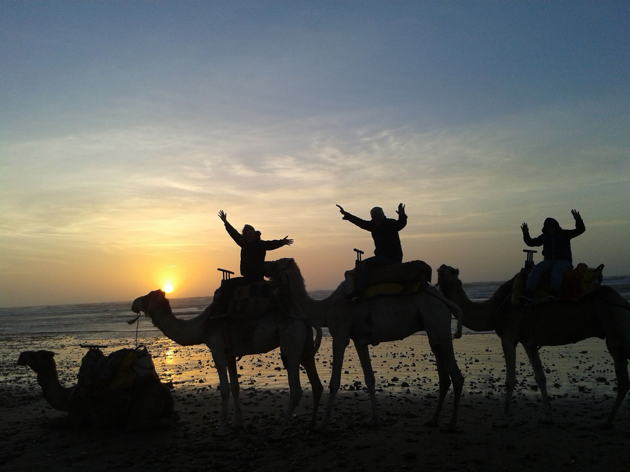 Essaouira: Einstündiger Dromedar-Ritt