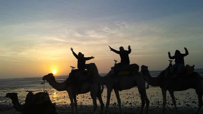 essaouira one hour dromedary ride
