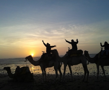 Essaouira: Paseo en dromedario de una hora