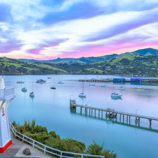 Christchurch: Akaroa & Banks Peninsula Wild Penguin Eco-Tour